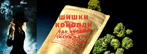 ПСИЛОЦИБИНОВЫЕ ГРИБЫ Зеленодольск